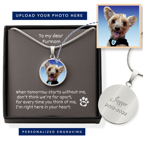 When Tomorrow Starts Without Me Personalized Photo Pet Memorial Pet Loss In Remembrance Circle Necklace With Engraving