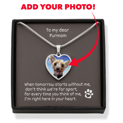 When Tomorrow Starts Without Me Personalized Photo Pet Memorial Pet Loss In Remembrance Heart Necklace With Engraving